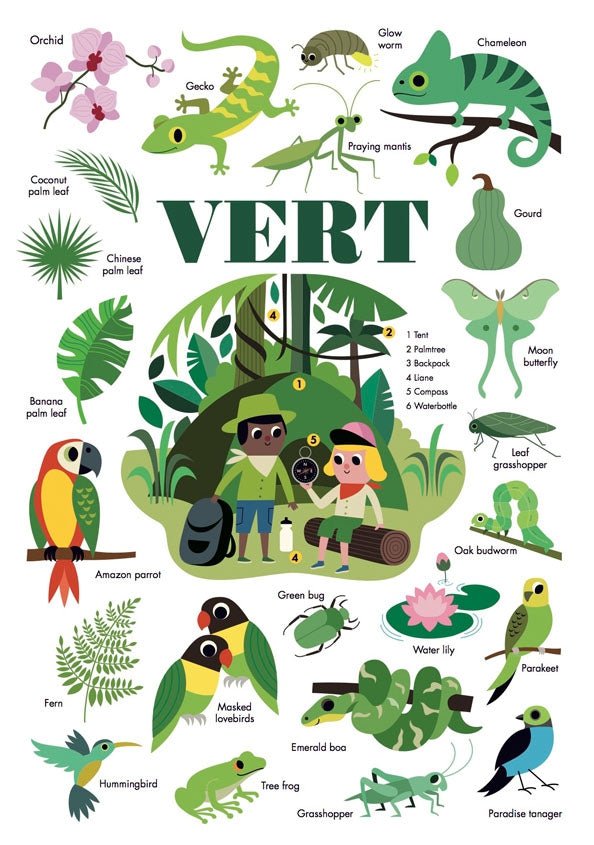 Poppik Stickerposter - Mini Discovery (1 Poster A4 + 24 Sticker) / Dschungel / Grün (3-8 J.)