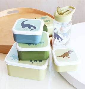Lunchbox / 4er Set / Dinosaurier