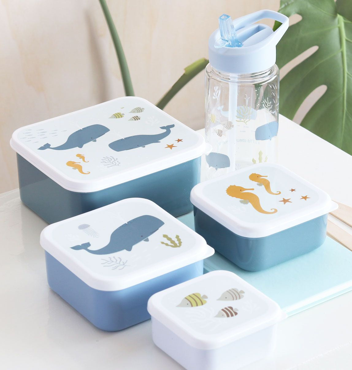 *NEU* Lunchbox / 4er Set / Ozean